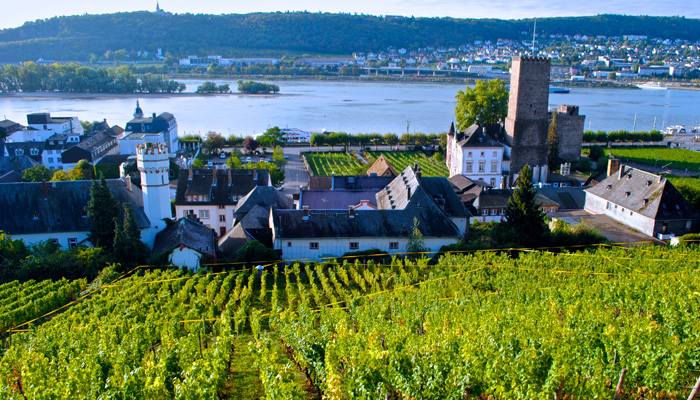 Germany 2016 Rudesheim A view from Leitz's Hinterhaus photo by KerryWinslow, grapelive.com