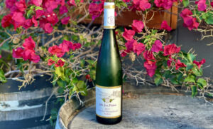 Grapelive: Wine of the Day November 1, 2025