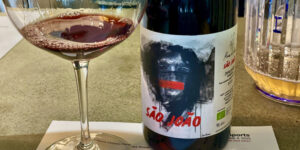 Grapelive: Wine of the Day December 18, 2025