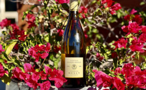 Grapelive: Wine of the Day January 12, 2026