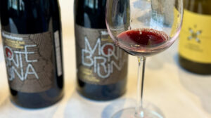 Grapelive: Wine of the Day March 10, 2026