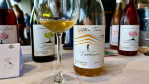 Grapelive: Wine of the Day March 7, 2026