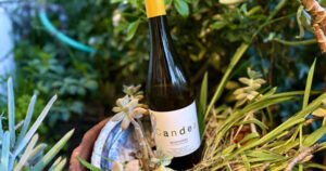 Grapelive: Wine of the Day April 19, 2026