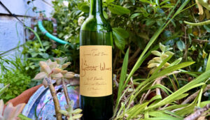 Grapelive: Wine of the Day April 20, 2026