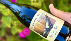 Grapelive: Wine of the Day September 2, 2026